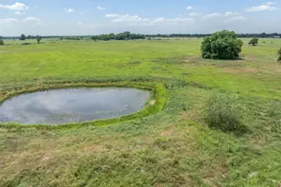476 Lcr 640 (+/-31 50 Acres), Groesbeck, TX 76642 - Photo 20
