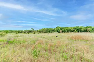 112 Plumed Thistle Dr, Fort Worth, TX 76131 - Photo 34