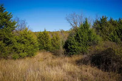 Tract 4 Lazy E Rd, Saint Jo, TX 76265 - Photo 10