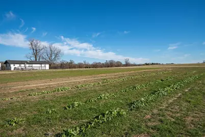 8612 Fm 1616, Athens, TX 75752 - Photo 38