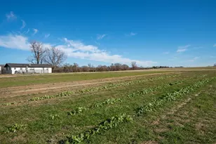 8612 Fm 1616, Athens, TX 75752 - Photo 38