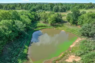 10815 FM 315, Poynor, TX 75782 - Photo 18