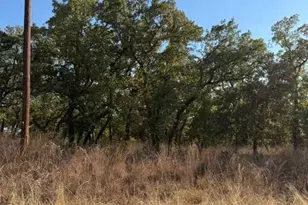 13 Crestline Ct, Nocona, TX 76255 - Photo 1