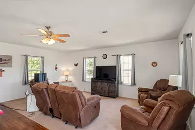 6031 Fm 316, Payne Springs, TX 75156 - Photo 4
