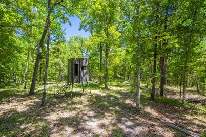 0 County Road 3573, Dike, TX 75437 - Photo 12
