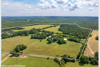 8468 Hydrangea Road, Ore City, TX 75683 - Photo 2