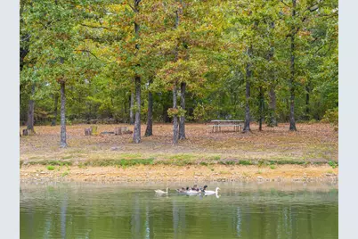 407 Vz County Road 1711, Grand Saline, TX 75140 - Photo 36