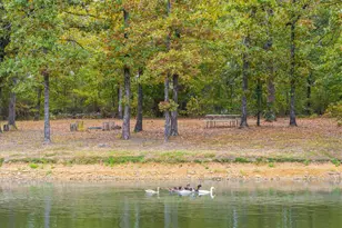 407 Vz County Road 1711, Grand Saline, TX 75140 - Photo 36