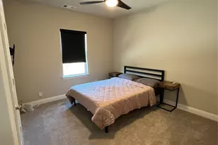 6225 Blythe Dr, Frisco, TX 75035 - Photo 14