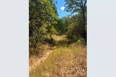 19.09 Ac N Mason, Perrin, TX 78486 - Photo 4
