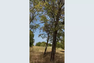 103234 Hillside Circle, Lone Oak, TX 75453 - Photo 2