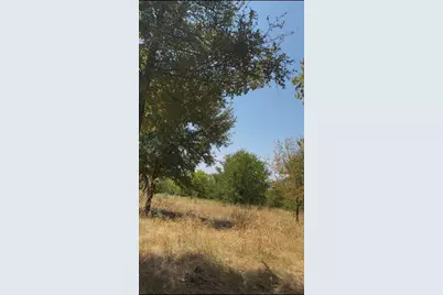 103235 Hillside Circle, Lone Oak, TX 75453 - Photo 2