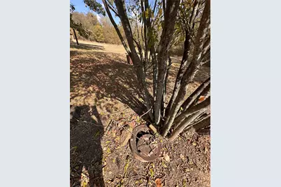 520 N Mlk Avenue, Wortham, TX 76693 - Photo 12