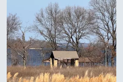 Tbd Cr 1575, Alba, TX 75410 - Photo 14