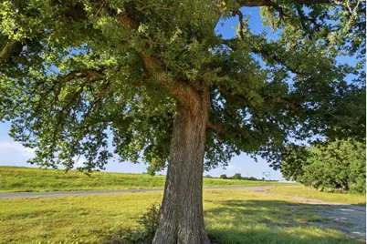 87671 Ih 20, Santo, TX 76472 - Photo 4