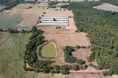 367 Private Rd 5475, Como, TX 75431 - Photo 4