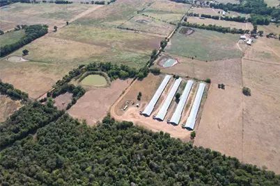 367 Private Rd 5475, Como, TX 75431 - Photo 8