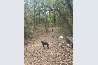 490 Hcr 1250, Whitney, TX 76692 - Photo 8