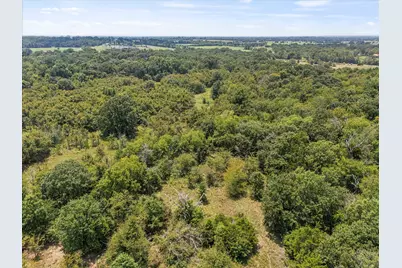 883 Fm 1653, Ben Wheeler, TX 75754 - Photo 16