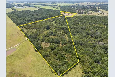 883 Fm 1653, Ben Wheeler, TX 75754 - Photo 2