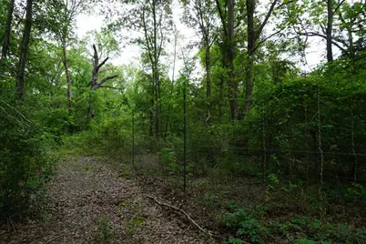 11919 County Road 1200, Malakoff, TX 75148 - Photo 20