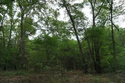 11919 County Road 1200, Malakoff, TX 75148 - Photo 24