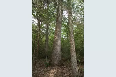 11919 County Road 1200, Malakoff, TX 75148 - Photo 12