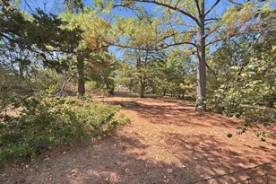 1027 Hwy 377 N, Whitesboro, TX 76273 - Photo 22