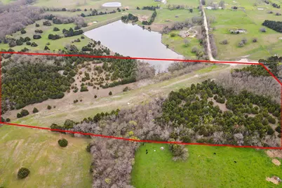 25 Acres County Road 672, Blue Ridge, TX 75424 - Photo 22