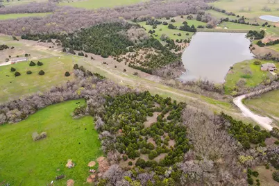 25 Acres County Road 672, Blue Ridge, TX 75424 - Photo 10