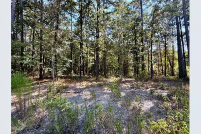 18084 Deer Trl, Flint, TX 75762 - Photo 8