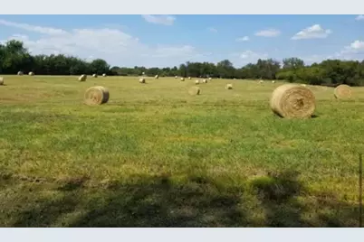 2882 Farm Road 3134, Cumby, TX 75433 - Photo 6