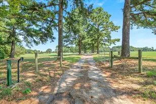 893 Vz County Road 4203, Canton, TX 75103 - Photo 10