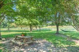 893 Vz County Road 4203, Canton, TX 75103 - Photo 16