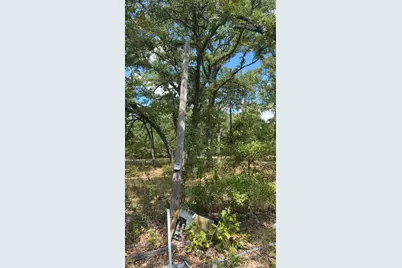 0000 R and R, Kemp, TX 75143 - Photo 6