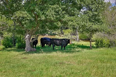 578 County Road 134, Gainesville, TX 76240 - Photo 6