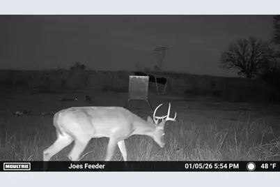 000 Fm 196, Pattonville, TX 75468 - Photo 10
