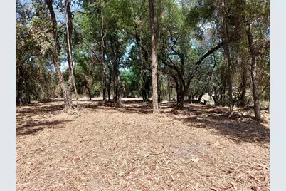 Tbd County Road 4240, Clifton, TX 76634 - Photo 20
