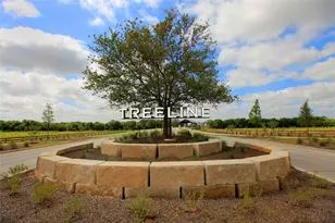 11308 Treehouse Trl, Justin, TX 76247 - Photo 10