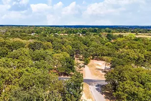 4705 Point La Vista, Malakoff, TX 75148 - Photo 10