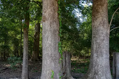 0 Cr-3516, Brownsboro, TX 75756 - Photo 18