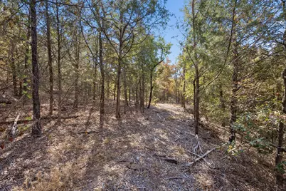 2301 Moseley Road, Cross Roads, TX 76227 - Photo 26