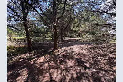 6395 Sh 160 Highway, Whitewright, TX 75491 - Photo 6