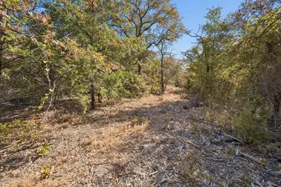 2301 Moseley (Land) Road, Cross Roads, TX 76227 - Photo 18