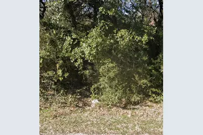 2718 Cypress Street, Granbury, TX 76048 - Photo 2