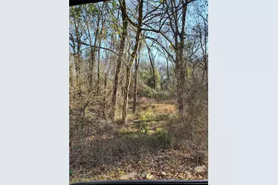 0 Wood Lane, Mabank, TX 75156 - Photo 2