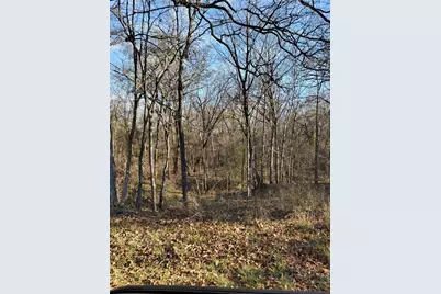 0 Wood Lane, Mabank, TX 75156 - Photo 1