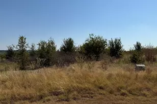 Lot 8 Heron Ct, Graford, TX 76449 - Photo 1
