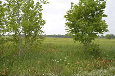 Tbd Lot 4&5 Rs County Road 1520, Point, TX 75472 - Photo 32