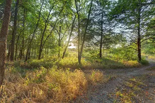 8615 Co Rd 534, Whitewright, TX 75491 - Photo 36